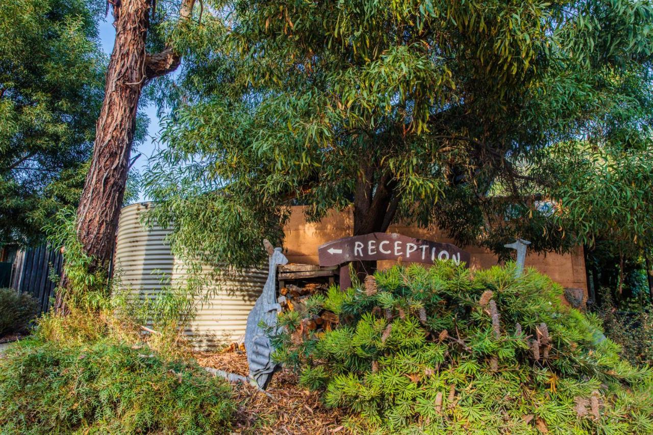 Yha Grampians Eco, Halls Gap Eksteriør billede