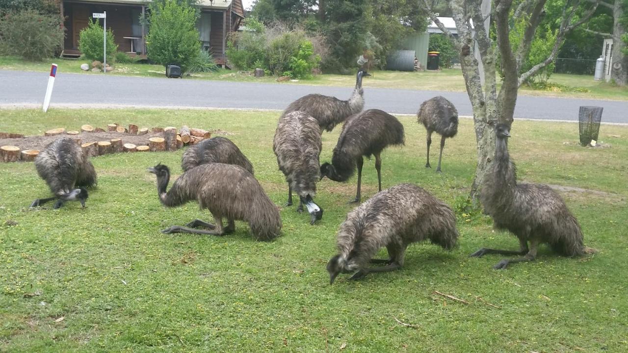 Yha Grampians Eco, Halls Gap Eksteriør billede